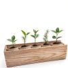 5X Bonsai Starter Kit by Adawook - Indoor Planting Bags & Seeds for-4