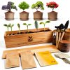 5X Bonsai Starter Kit by Adawook - Indoor Planting Bags & Seeds for-0