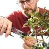 5X Bonsai Starter Kit by Adawook - Indoor Planting Bags & Seeds for-5